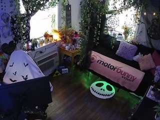 voyeurcam veccasalt 01