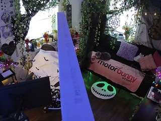 voyeurcam veccasalt 01