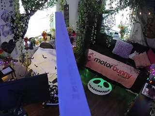 voyeurcam veccasalt 01