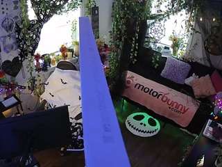 voyeurcam-veccasalt-... webcam