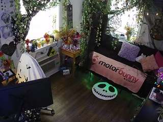 voyeurcam-veccasalt-... webcam
