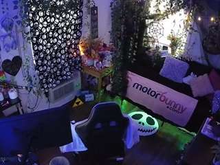 voyeurcam-veccasalt-... webcam