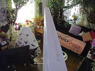 voyeurcam-veccasalt-01