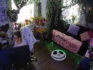 voyeurcam veccasalt 01