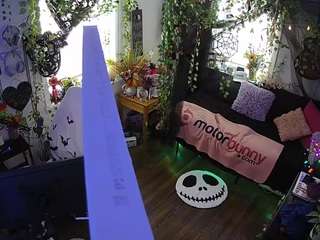 voyeurcam-veccasalt-... webcam