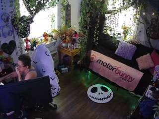voyeurcam-veccasalt-... webcam