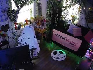 voyeurcam-veccasalt-01