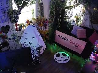 voyeurcam-veccasalt-01
