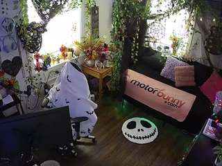 voyeurcam-veccasalt-01