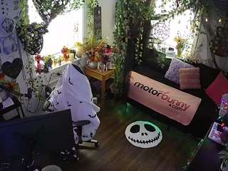 voyeurcam veccasalt 01