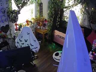 voyeurcam-veccasalt-01
