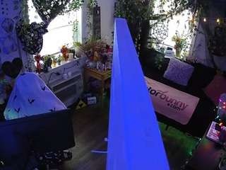 voyeurcam veccasalt 01
