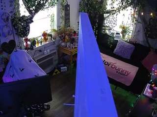 voyeurcam-veccasalt-01