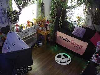voyeurcam-veccas... Live Webcam on CamSoda