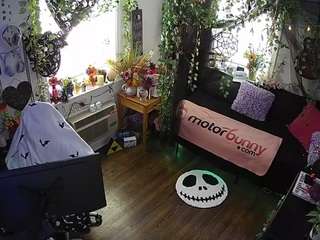 voyeurcam-veccasalt-... webcam