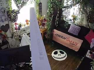  voyeurcam-veccasalt-01 chat room