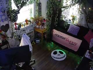 voyeurcam veccasalt 01