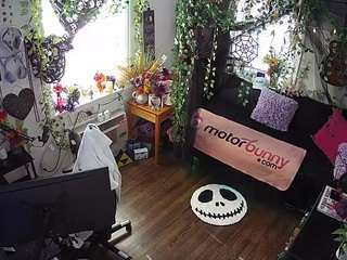 voyeurcam-veccas... Live Webcam on CamSoda