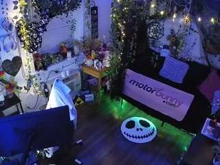 voyeurcam-veccasalt-... webcam
