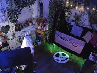 voyeurcam-veccasalt-01 camsoda