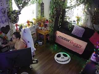 voyeurcam veccasalt 01