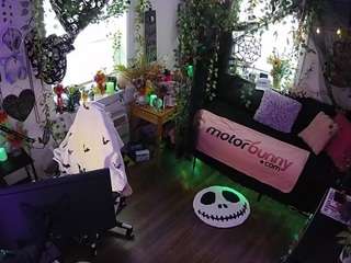 voyeurcam veccasalt 01