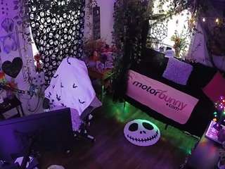 voyeurcam veccasalt 01
