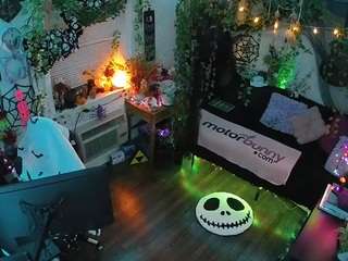 voyeurcam-veccasalt-01