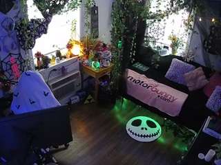 voyeurcam veccasalt 01