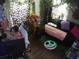 voyeurcam veccasalt 01