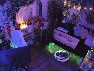 voyeurcam veccasalt 01