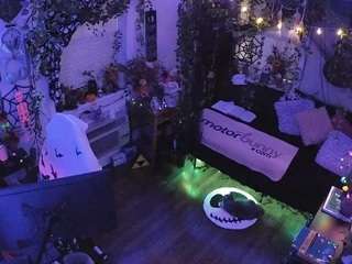 voyeurcam-veccasalt-01