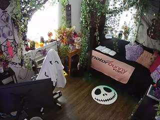 voyeurcam-veccasalt-01