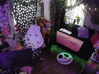 voyeurcam veccasalt 01
