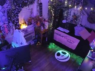 voyeurcam veccasalt 01