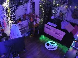 voyeurcam veccasalt 01