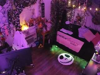 voyeurcam-veccasalt-01