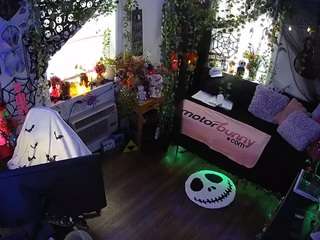 voyeurcam-veccasalt-01