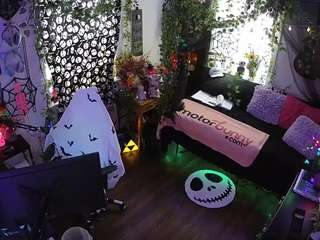 voyeurcam veccasalt 01