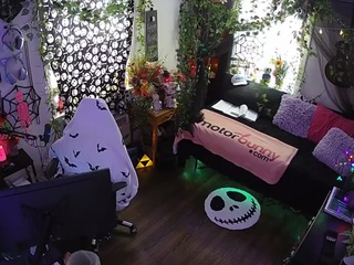 voyeurcam veccasalt 01