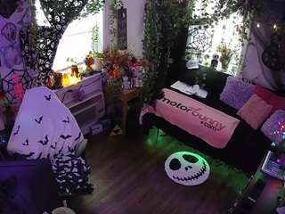 voyeurcam-veccasalt-01