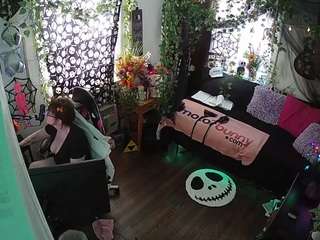 voyeurcam veccasalt 01