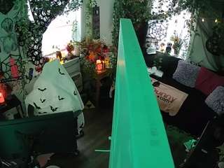voyeurcam veccasalt 01