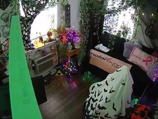 voyeurcam veccasalt 01