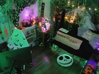 voyeurcam-veccasalt-01