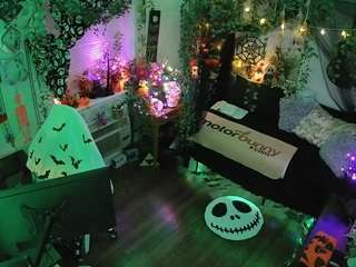 voyeurcam-veccasalt-01