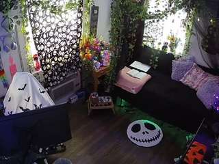 voyeurcam-veccasalt-... webcam