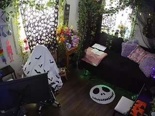 voyeurcam-veccasalt-01
