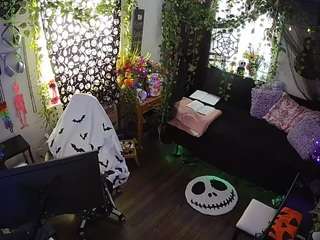 voyeurcam-veccasalt-01