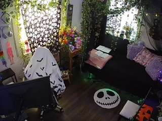 voyeurcam-veccasalt-... webcam